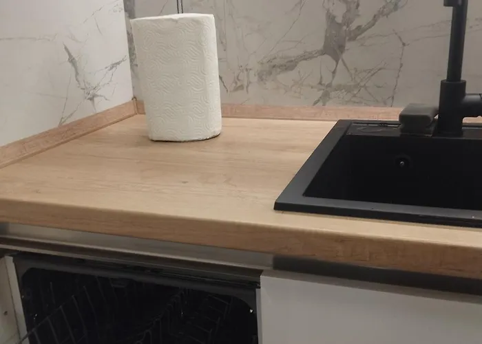 Premier In -free Garage- 公寓 *