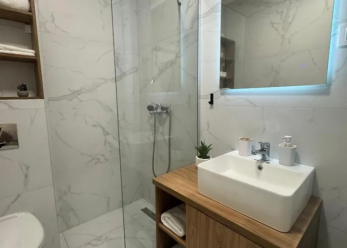 Premier In -free Garage- 诺威萨