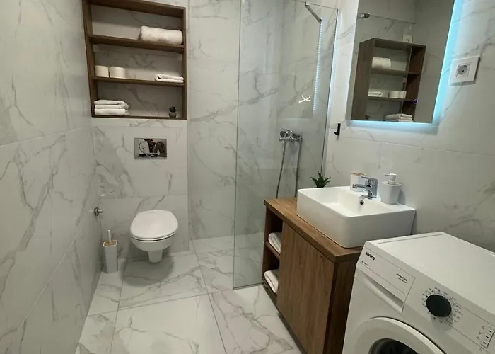 Premier In -free Garage- 公寓 *